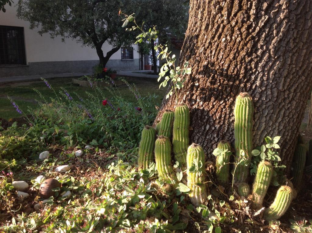 فيلا La Vecchia Quercia Pergine Valdarno المظهر الخارجي الصورة