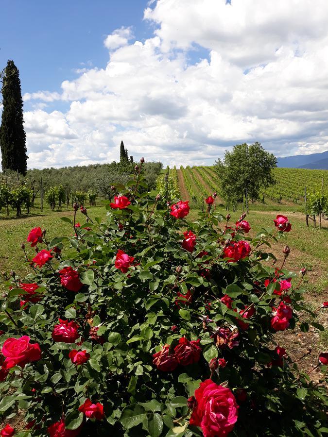 فيلا La Vecchia Quercia Pergine Valdarno المظهر الخارجي الصورة