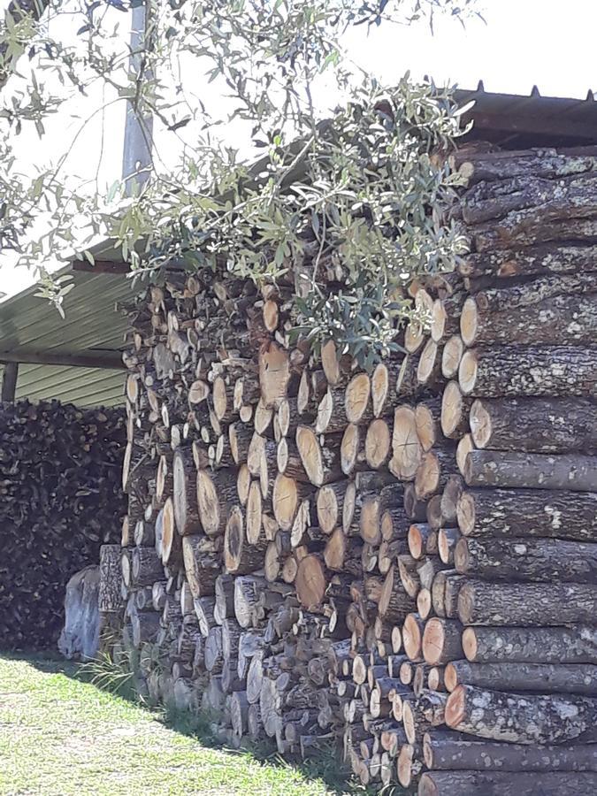 فيلا La Vecchia Quercia Pergine Valdarno المظهر الخارجي الصورة